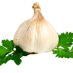 Garlic PNG
