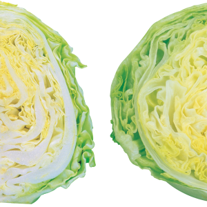Cabbage PNG