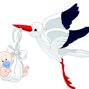 stork baby PNG