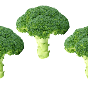 Broccoli PNG