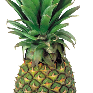 Pineapple PNG image, free download