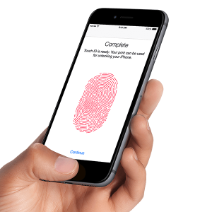 Phone in hand PNG