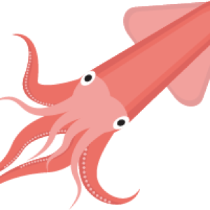 Squid PNG