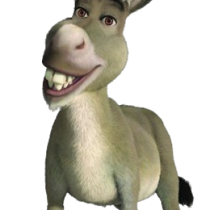 Donkey PNG