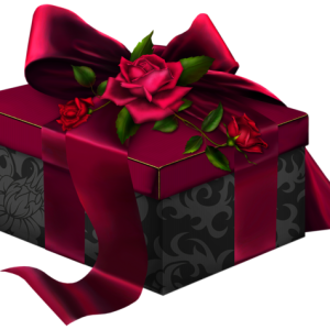 Gift box PNG