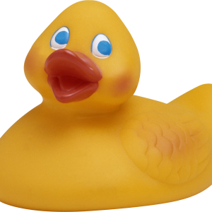 Rubber duck PNG