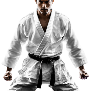 Karate PNG