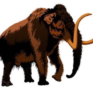 Mammoth PNG