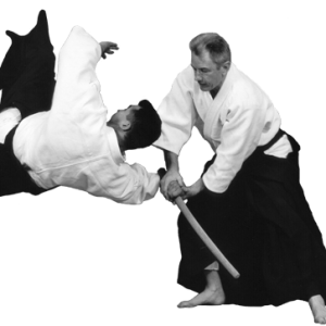 Aikido PNG