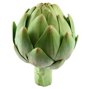 Artichoke PNG