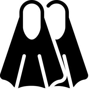 Flippers PNG