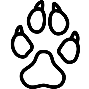 Paw PNG