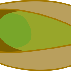 Pistachios PNG