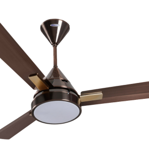 Fan PNG