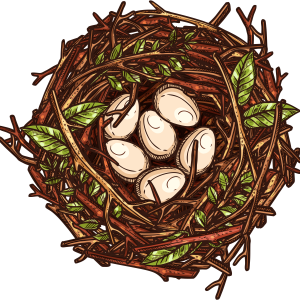Nest PNG