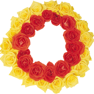 Floral frame PNG