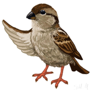Sparrow PNG