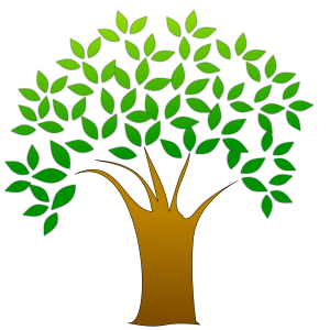 tree PNG