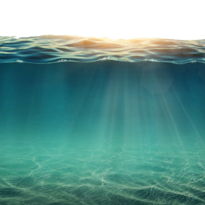 Sea PNG