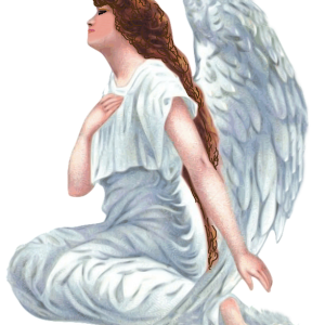 Angel PNG
