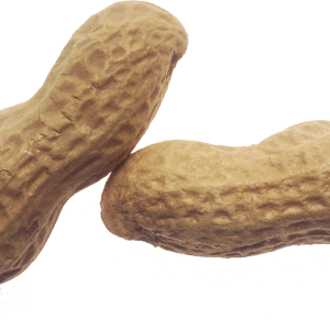 Peanut PNG