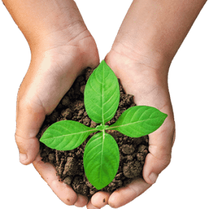 Soil in hands PNG
