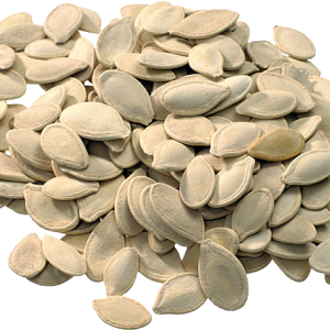 Pumpkin seeds PNG