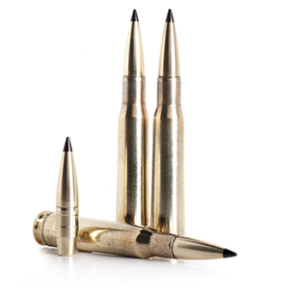 Bullets PNG image