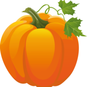 Pumpkin PNG