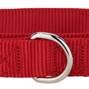 Dog collar PNG