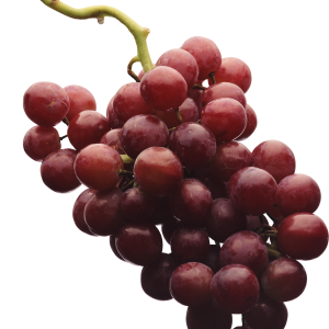 Grape PNG image