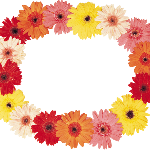 Floral frame PNG