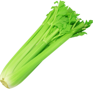 Celery PNG
