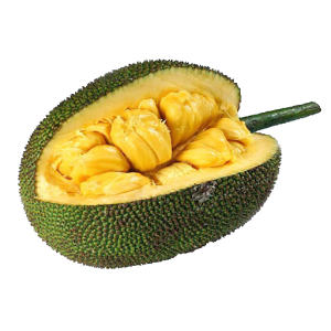 Jackfruit PNG image