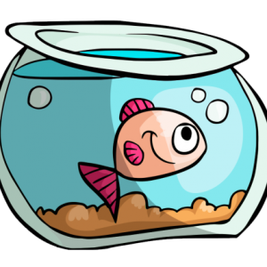 Aquarium PNG