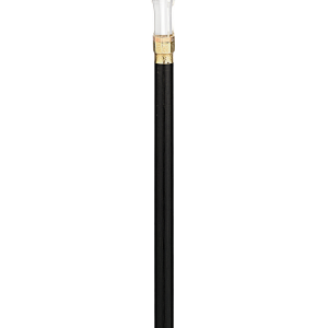 Walking stick PNG