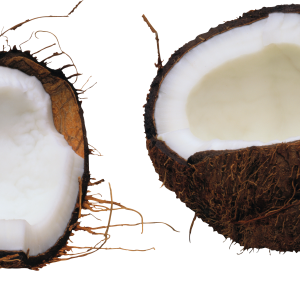 Coconut PNG image