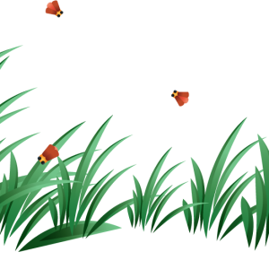 grass png image, green grass PNG picture