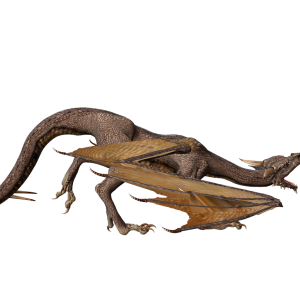 Dragon PNG images, free drago picture
