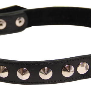 Dog collar PNG