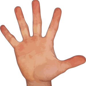 five fingers PNG image