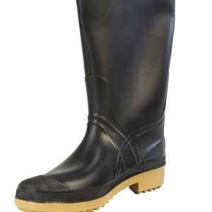 Rubber boots PNG