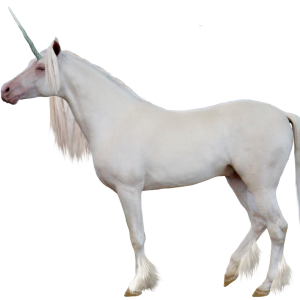 Unicorn PNG