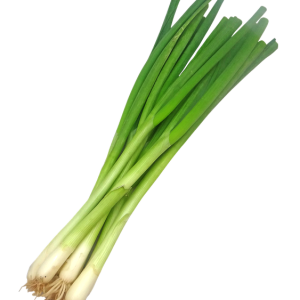 Leek PNG