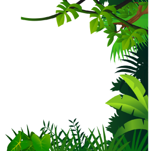 Jungle PNG