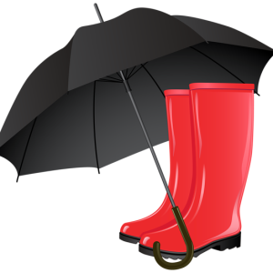 Rubber boots and umbrella PNG