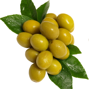 Green olives PNG