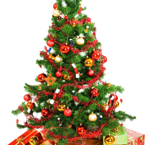 Christmas tree PNG
