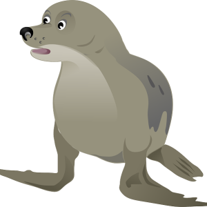 Harbor seal PNG