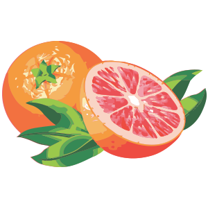 Grapefruit PNG